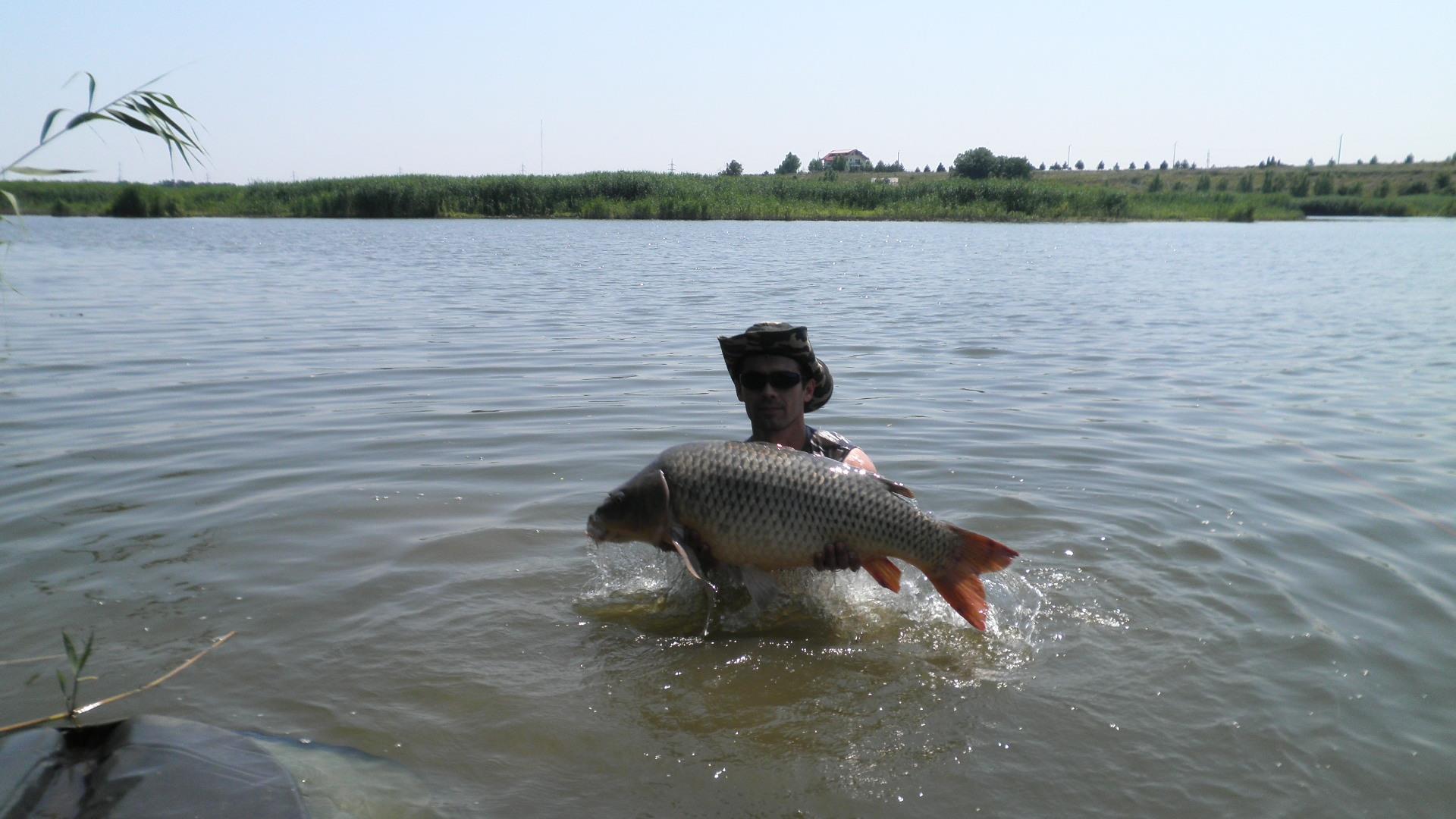 Best Off - p7100130.JPG